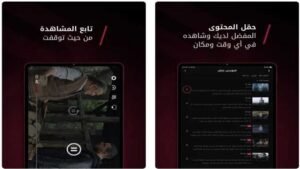 تحميل برنامج نور بلاي
